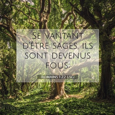 Picture 07 - Romains 1:22 LSG - Se vantant d'être sages, ils sont devenus - Bible Verse Picture