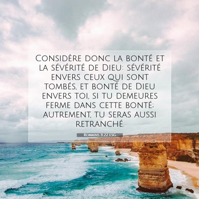 Picture 07 - Romains 11:22 LSG - Considère donc la bonté et la sévérité de - Bible Verse Picture