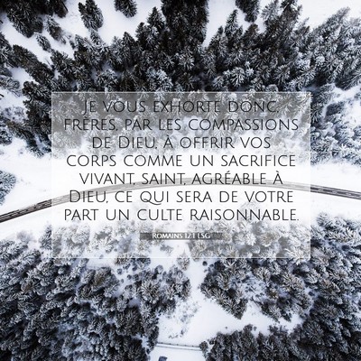 Picture 07 - Romains 12:1 LSG - Je vous exhorte donc, frères, par les - Bible Verse Picture