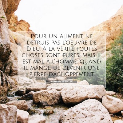 Picture 07 - Romains 14:20 LSG - Pour un aliment, ne détruis pas l'oeuvre de - Bible Verse Picture
