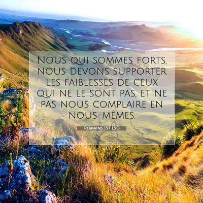 Picture 07 - Romains 15:1 LSG - Nous qui sommes forts, nous devons supporter les - Bible Verse Picture