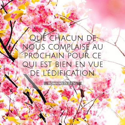 Picture 07 - Romains 15:2 LSG - Que chacun de nous complaise au prochain pour ce - Bible Verse Picture