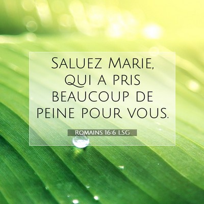 Picture 07 - Romains 16:6 LSG - Saluez Marie, qui a pris beaucoup de peine pour - Bible Verse Picture