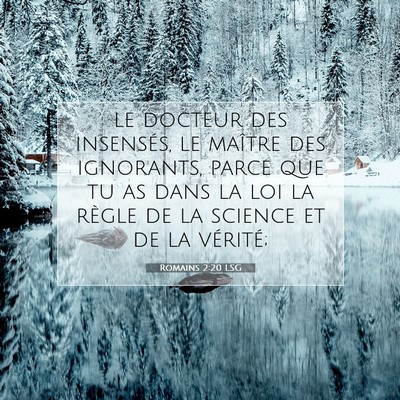 Picture 07 - Romains 2:20 LSG - le docteur des insensés, le maître des - Bible Verse Picture