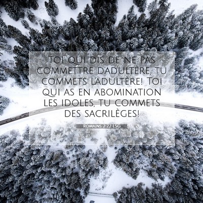 Picture 07 - Romains 2:22 LSG - Toi qui dis de ne pas commettre d'adultère, tu - Bible Verse Picture