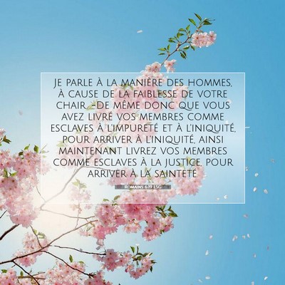 Picture 07 - Romains 6:19 LSG - Je parle à la manière des hommes, à cause de - Bible Verse Picture