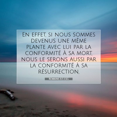 Picture 07 - Romains 6:5 LSG - En effet, si nous sommes devenus une même plante - Bible Verse Picture