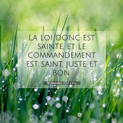 Picture 07 - Romains 7:12 LSG - La loi donc est sainte, et le commandement est - Bible Verse Picture