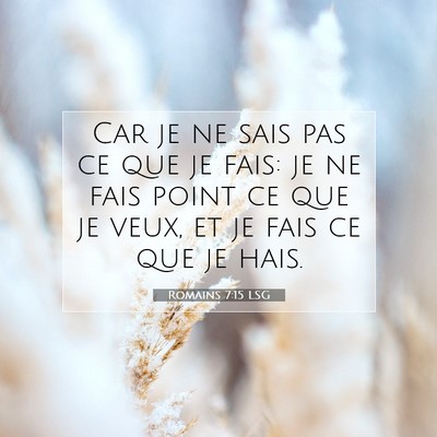 Picture 07 - Romains 7:15 LSG - Car je ne sais pas ce que je fais: je ne fais - Bible Verse Picture