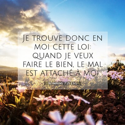 Picture 07 - Romains 7:21 LSG - Je trouve donc en moi cette loi: quand je veux - Bible Verse Picture