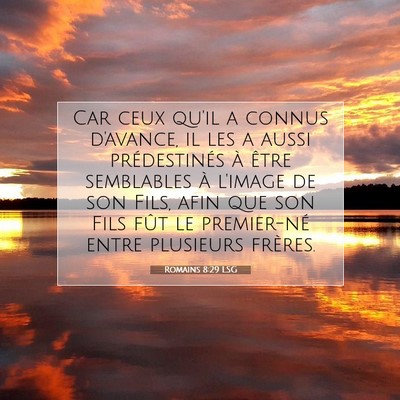 Picture 07 - Romains 8:29 LSG - Car ceux qu'il a connus d'avance, il les a aussi - Bible Verse Picture