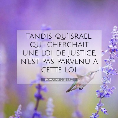 Picture 07 - Romains 9:31 LSG - tandis qu'Israël, qui cherchait une loi de - Bible Verse Picture