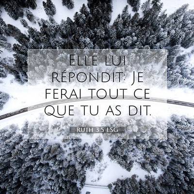 Picture 07 - Ruth 3:5 LSG - Elle lui répondit: Je ferai tout ce que tu as - Bible Verse Picture