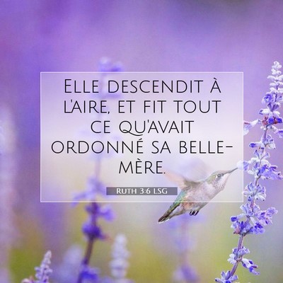 Picture 07 - Ruth 3:6 LSG - Elle descendit à l'aire, et fit tout ce qu'avait - Bible Verse Picture