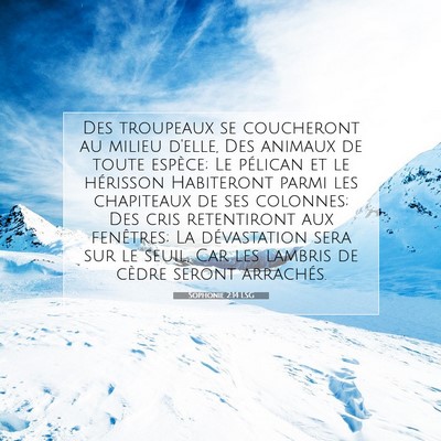Picture 07 - Sophonie 2:14 LSG - Des troupeaux se coucheront au milieu d'elle, Des - Bible Verse Picture