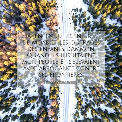 Picture 07 - Sophonie 2:8 LSG - J'ai entendu les injures de Moab Et les outrages - Bible Verse Picture