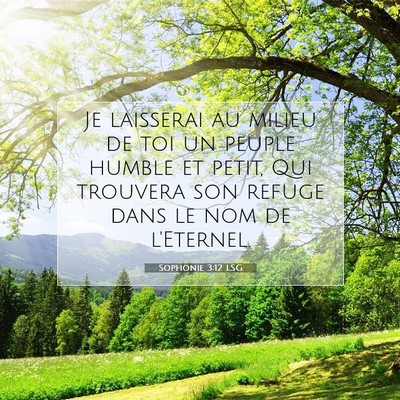 Picture 07 - Sophonie 3:12 LSG - Je laisserai au milieu de toi un peuple humble et - Bible Verse Picture