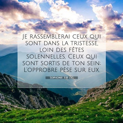 Picture 07 - Sophonie 3:18 LSG - Je rassemblerai ceux qui sont dans la tristesse, - Bible Verse Picture