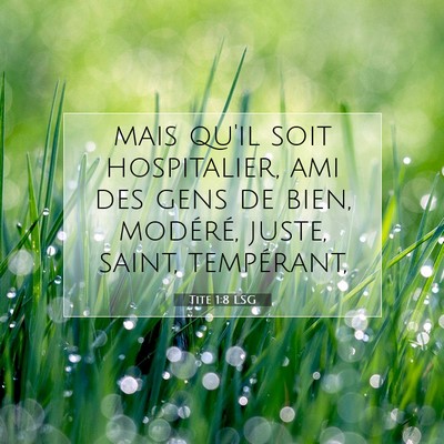 Picture 07 - Tite 1:8 LSG - mais qu'il soit hospitalier, ami des gens de - Bible Verse Picture