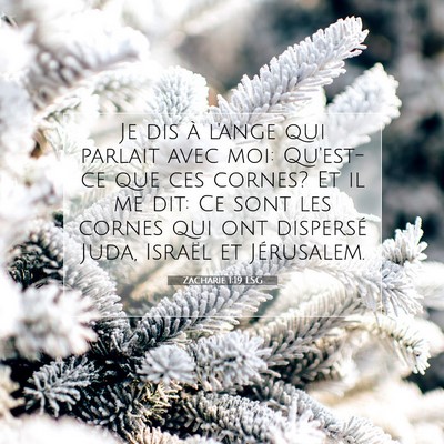 Picture 07 - Zacharie 1:19 LSG - Je dis à l'ange qui parlait avec moi: Qu'est-ce - Bible Verse Picture