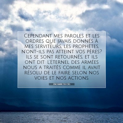 Picture 07 - Zacharie 1:6 LSG - Cependant mes paroles et les ordres que j'avais - Bible Verse Picture
