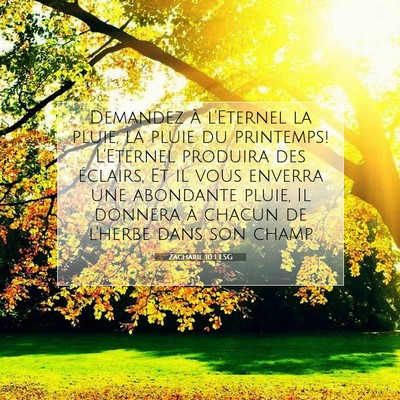 Picture 07 - Zacharie 10:1 LSG - Demandez à l'Eternel la pluie, la pluie du - Bible Verse Picture