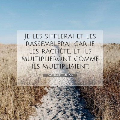 Picture 07 - Zacharie 10:8 LSG - Je les sifflerai et les rassemblerai, car je les - Bible Verse Picture