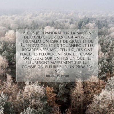 Picture 07 - Zacharie 12:10 LSG - Alors je répandrai sur la maison de David et sur - Bible Verse Picture