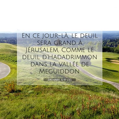 Picture 07 - Zacharie 12:11 LSG - En ce jour-là, le deuil sera grand à - Bible Verse Picture