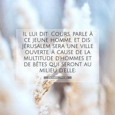 Picture 07 - Zacharie 2:4 LSG - Il lui dit: Cours, parle à ce jeune homme, et - Bible Verse Picture