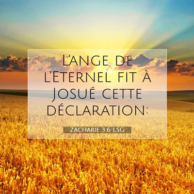 Picture 07 - Zacharie 3:6 LSG - L'ange de l'Eternel fit à Josué cette - Bible Verse Picture