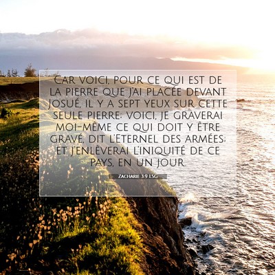 Picture 07 - Zacharie 3:9 LSG - Car voici, pour ce qui est de la pierre que j'ai - Bible Verse Picture