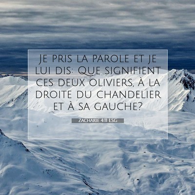 Picture 07 - Zacharie 4:11 LSG - Je pris la parole et je lui dis: Que signifient - Bible Verse Picture