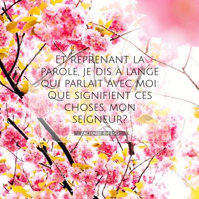 Picture 07 - Zacharie 4:4 LSG - Et reprenant la parole, je dis à l'ange qui - Bible Verse Picture