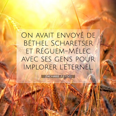 Picture 07 - Zacharie 7:2 LSG - On avait envoyé de Béthel Scharetser et - Bible Verse Picture