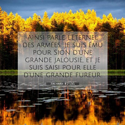 Picture 07 - Zacharie 8:2 LSG - Ainsi parle l'Eternel des armées: Je suis ému - Bible Verse Picture