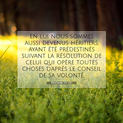 Picture 07 - Éphésiens 1:11 LSG - En lui nous sommes aussi devenus héritiers, - Bible Verse Picture