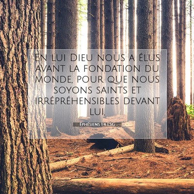 Picture 07 - Éphésiens 1:4 LSG - En lui Dieu nous a élus avant la fondation du - Bible Verse Picture