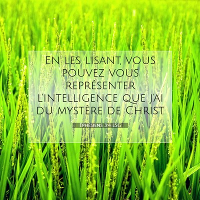 Picture 07 - Éphésiens 3:4 LSG - En les lisant, vous pouvez vous représenter - Bible Verse Picture