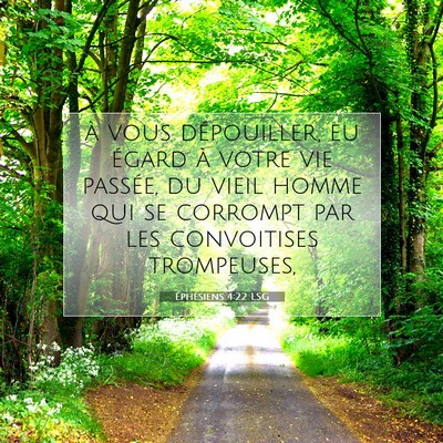 Picture 07 - Éphésiens 4:22 LSG - à vous dépouiller, eu égard à votre vie - Bible Verse Picture