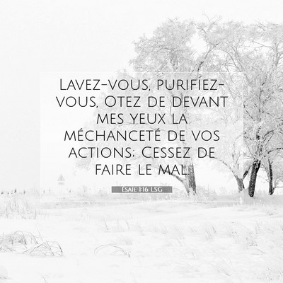 Picture 07 - Ésaïe 1:16 LSG - Lavez-vous, purifiez-vous, Otez de devant mes - Bible Verse Picture