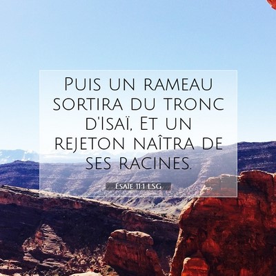 Picture 07 - Ésaïe 11:1 LSG - Puis un rameau sortira du tronc d'Isaï, Et un - Bible Verse Picture