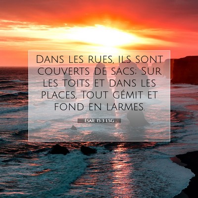 Picture 07 - Ésaïe 15:3 LSG - Dans les rues, ils sont couverts de sacs; Sur les - Bible Verse Picture