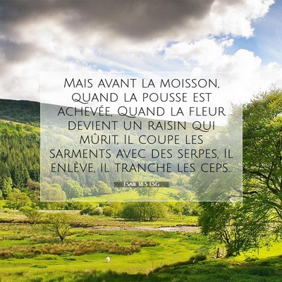 Picture 07 - Ésaïe 18:5 LSG - Mais avant la moisson, quand la pousse est - Bible Verse Picture