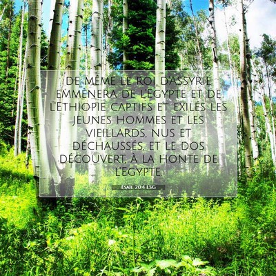 Picture 07 - Ésaïe 20:4 LSG - de même le roi d'Assyrie emmènera de l'Egypte - Bible Verse Picture