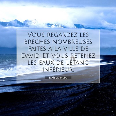 Picture 07 - Ésaïe 22:9 LSG - Vous regardez les brèches nombreuses faites à - Bible Verse Picture