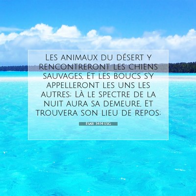 Picture 07 - Ésaïe 34:14 LSG - Les animaux du désert y rencontreront les chiens - Bible Verse Picture