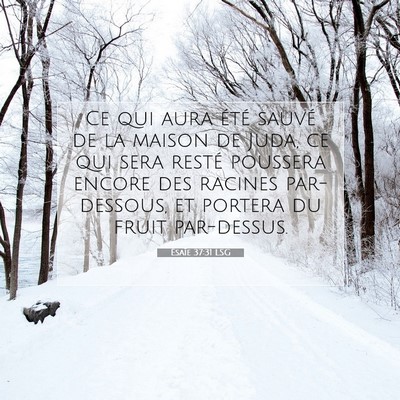 Picture 07 - Ésaïe 37:31 LSG - Ce qui aura été sauvé de la maison de Juda, ce - Bible Verse Picture