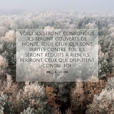 Picture 07 - Ésaïe 41:11 LSG - Voici, ils seront confondus, ils seront couverts - Bible Verse Picture