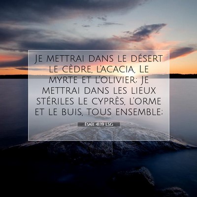 Picture 07 - Ésaïe 41:19 LSG - Je mettrai dans le désert le cèdre, l'acacia, - Bible Verse Picture